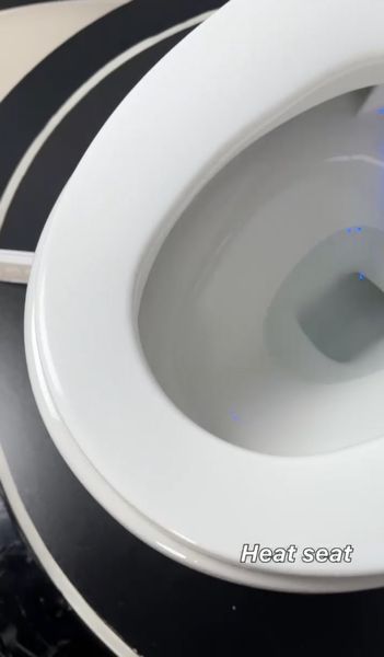 Унитаз-биде напольный электронный KOER TB-0201 Smart 675x400x450 мм, санитарный фарфор, белый, встроенный бак 5 л, пульт ДУ (KR6071) KR6071 фото