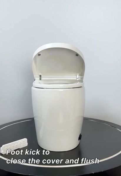 Унитаз-биде напольный электронный KOER TB-0201 Smart 675x400x450 мм, санитарный фарфор, белый, встроенный бак 5 л, пульт ДУ (KR6071) KR6071 фото