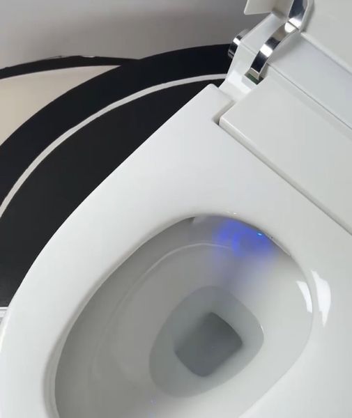 Унитаз-биде напольный электронный KOER TB-0201 Smart 675x400x450 мм, санитарный фарфор, белый, встроенный бак 5 л, пульт ДУ (KR6071) KR6071 фото