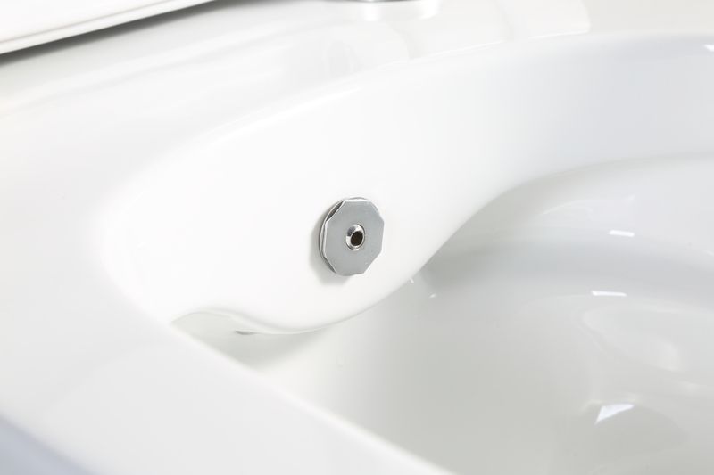 Унитаз-биде подвесной MIXXUS PREMIUM ELLIPSE-1301-R со смесителем, Rimless, Soft Close, Quick Release, белый, 500&times;365&times;350 мм (MP6659) MP6659 фото
