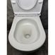 Набір 3 в 1: Інсталяція Grohe Rapid SL + Біла кнопка Skate Air + Унітаз безобідковий Koer TT-0101-T3 із сидінням Soft-close (Tornado 3.0) 38722001KR5615 фото 13