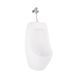 Пісуар підвісний Qtap Crow з краном-дозатором 360x285x675 White QT0588112HW