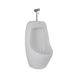 Писсуар подвесной Qtap Crow с краном-дозатором 390х330х660 White QT0588112HW SD00045970 фото 3