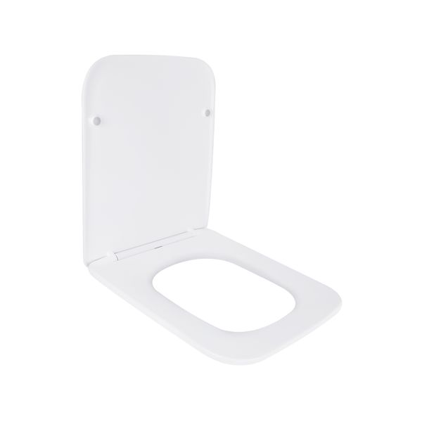 Сиденье для унитаза Qtap (Tern) с микролифтом Slim QT99HXU10W SD00046073 фото